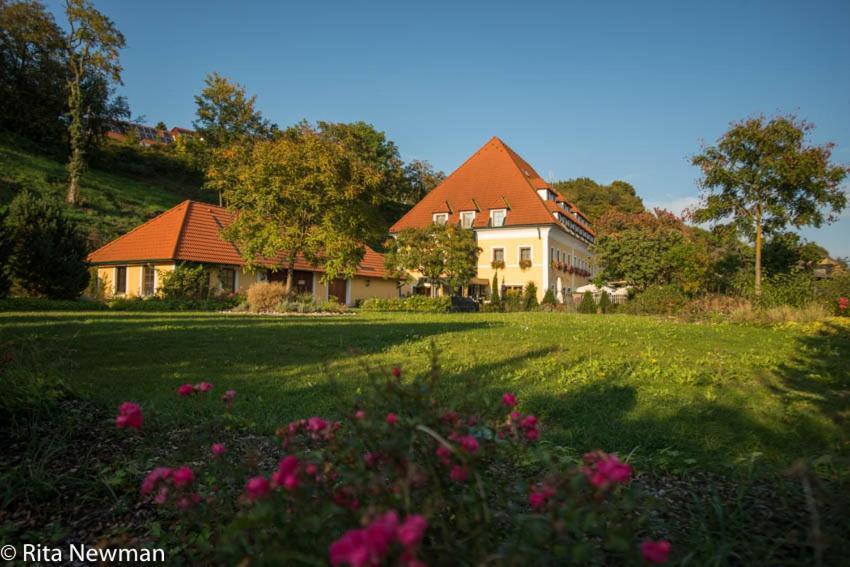 אמרסדורף אן דר דונאו Landhotel Wachau מראה חיצוני תמונה