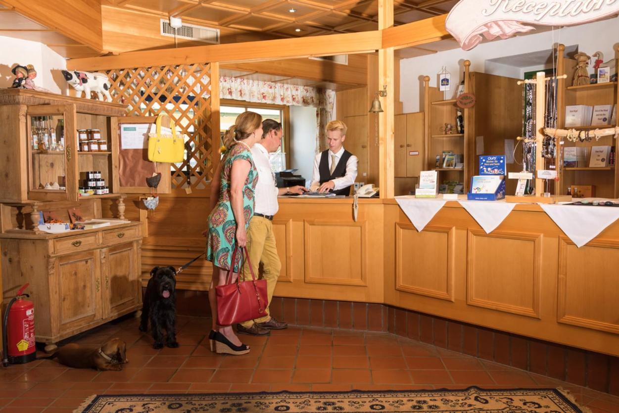 אמרסדורף אן דר דונאו Landhotel Wachau מראה חיצוני תמונה